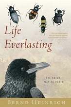 Cover art for Life Everlasting: The Animal Way of Death