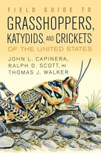Cover art for Field Guide to Grasshoppers, Katydids, and Crickets of the United States
