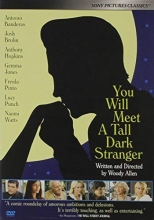 Cover art for You Will Meet a Tall Dark Stranger