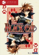 Cover art for Black Cat: Viridian Collection