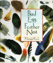 Cover art for Bird Egg Feather Nest