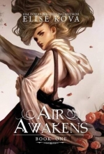 Cover art for Air Awakens (Air Awakens Series Book 1)