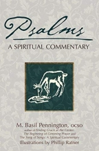 Cover art for Psalms: A Spiritual Commentary (SkyLight Illuminations)