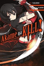 Cover art for Akame ga KILL!, Vol. 13
