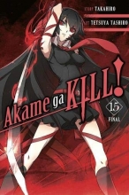 Cover art for Akame ga KILL!, Vol. 15