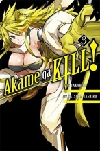 Cover art for Akame ga KILL!, Vol. 3