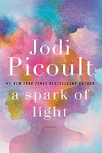 Cover art for A Spark of Light: A Novel