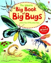 Cover art for The Usborne Big Book of Big Bugs: And a Few Little Ones Too...