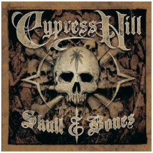 Cover art for Skull & Bones
