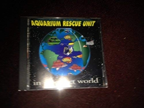 Cover art for In a Perfect World