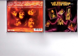 Cover art for Mirrors of Embarrassment