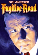 Cover art for Fugitive Road