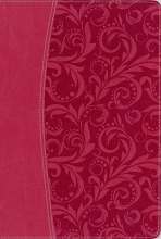 Cover art for NIV, Essentials Study Bible, Leathersoft, Pink: Easily Grasp the Fundamentals of Scripture through Lenses from 6 Bestselling NIV Resources