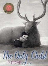 Cover art for The Only Child
