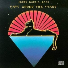 Cover art for Cats Under the Stars