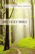 Cover art for NIV, Value Outreach Bible, Paperback