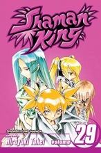 Cover art for Shaman King, Vol. 29