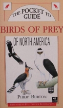 Cover art for The Pocket Guide to birds of Prey of North America