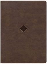 Cover art for CSB Day-by-Day Chronological Bible, Brown Leathertouch