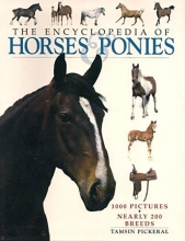Cover art for The Encyclopedia of Horses & Ponies