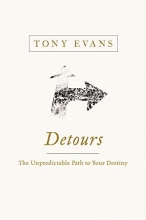 Cover art for Detours: The Unpredictable Path to Your Destiny