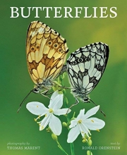 Cover art for Butterflies