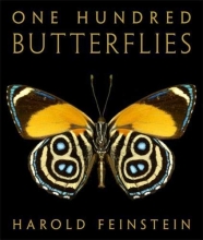 Cover art for One Hundred Butterflies