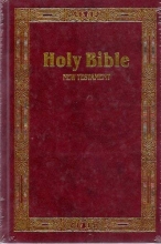 Cover art for Holy Bible: King James Version : New Testament Sytle # 61