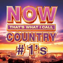 Cover art for NOW Country #1s