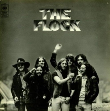 Cover art for The Flock