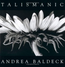 Cover art for Talismanic