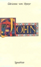 Cover art for John: The Discourses of Controversy: Meditations of John 6-12