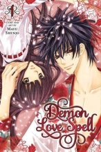 Cover art for Demon Love Spell, Vol. 1