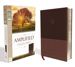 Cover art for The Amplified Study Bible, Leathersoft, Brown [Large Print]