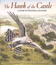 Cover art for The Hawk of the Castle: A Story of Medieval Falconry