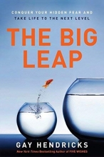 Cover art for The Big Leap: Conquer Your Hidden Fear and Take Life to the Next Level