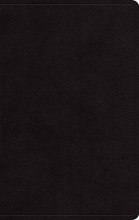 Cover art for ESV Large Print Personal Size Bible (Black)