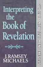 Cover art for Interpreting the Book of Revelation (Guides to New Testament Exegesis)