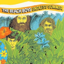 Cover art for Endless Summer (2 LPs) [Vinyl]