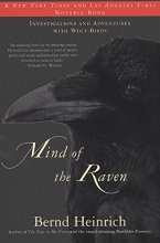 Cover art for Mind of the Raven