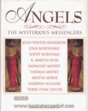Cover art for Angels: The Mysterious Messengers
