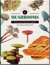 Cover art for Identifying Mushrooms: The New Compact Study Guide and Identifier