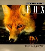 Cover art for The World of the Fox