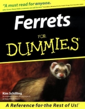 Cover art for Ferrets For Dummies