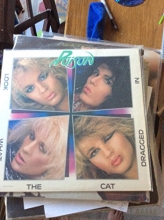 Cover art for Look What the Cat Dragged In