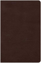 Cover art for CSB Ultrathin Bible, Brown LeatherTouch