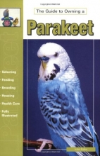 Cover art for The Guide to Owning a Parakeet (Budgie)