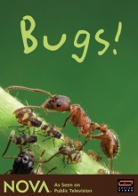 Cover art for NOVA: Bugs