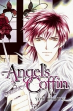 Cover art for Angel's Coffin
