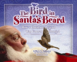 Cover art for Bird in Santa's Beard (Big Belly Series)